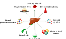 6 cách đơn giản để thải độc gan