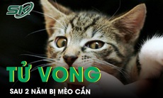 Người phụ nữ tử vong sau 2 năm bị mèo cắn chủ quan không tiêm phòng dại