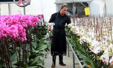 Kim ngạch xuất khẩu hoa vượt mốc 100 triệu USD