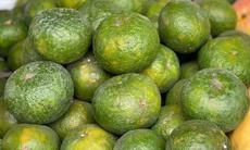 Loại quả giàu viatamin C đang vào mùa bán đầy chợ Việt giá chỉ 10.000 đồng/kg