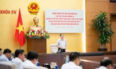 Chủ tịch Quốc hội: Sắp xếp bộ máy phải 'vừa chạy vừa xếp hàng, không thể đủng đỉnh, túc tắc mà xong'