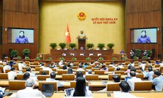 Vận động bầu cử ĐBQH, đại biểu HĐND có thể theo hình thức trực tuyến