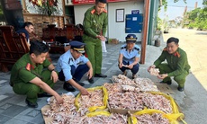 Công ty nhập khẩu thực phẩm sạch nhưng kinh doanh hàng không nguồn gốc