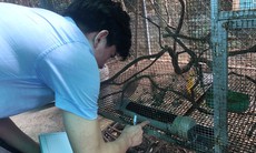 Số ca mắc sốt xuất huyết ở Đồng Nai bất ngờ tăng vọt