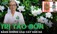 Trị táo bón dễ không ngờ nhờ những loại cây dân dã này