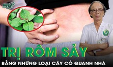Ngừa rôm sảy mùa hè nhờ cây cỏ vườn nhà – Hiệu quả ít ai ngờ