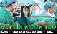 Đứt lìa ngón trỏ khi làm việc, nam công nhân may mắn được nối lại