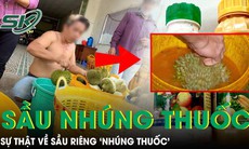 Sầu riêng ‘nhúng thuốc’ có gây ung thư như lời đồn?