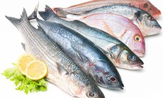 9 lợi ích sức khỏe của việc ăn cá