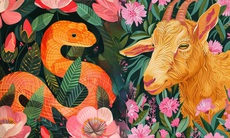 Tử vi 12 con giáp hôm nay 17/5: Ngọ tham vọng, Thân phát triển rõ rệt