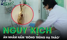 Nguy kịch vì ăn nấm lạ mọc từ nhộng ve sầu, nhầm tưởng là ‘đông trùng hạ thảo’