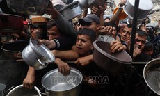 LHQ cảnh báo nguy cơ 14.000 trẻ sơ sinh Gaza tử vong trong 48 giờ nếu thiếu viện trợ