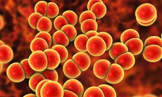 Anh triển khai vaccine phòng bệnh lậu đầu tiên trên thế giới