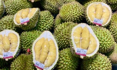 Loạn giá sầu riêng, nơi bán vài chục nghìn nơi hàng trăm nghìn đồng/kg