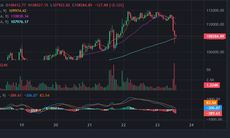 Bitcoin quay đầu lao dốc sau khi lập đỉnh cao nhất mọi thời đại