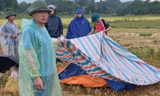 Thanh niên dùng điện thoại trên cánh đồng bị sét đánh tử vong