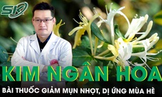 Bài thuốc hay từ kim ngân hoa hỗ trợ giúp giảm mụn nhọt, dị ứng mùa hè 