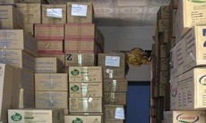 Long An: Phát hiện gần 12.000 hộp sữa không rõ nguồn gốc, xuất xứ

