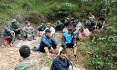 Người đàn ông mất tích khi vào rừng tìm mật ong