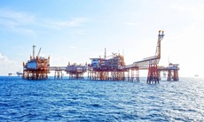 PVGasd công bố thông tin bất thường liên quan thi hành án