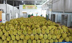Lời giải cho bài toán 'được mùa mất giá' của nông sản Việt