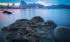 Vào khu vực có san hô ở biển Nha Trang để khai thác thủy sản bị xử phạt thế nào?