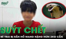 Bé trai 13 tuổi suýt chết vì bị rắn hổ mang nặng hơn 2kg cắn