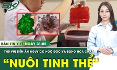 Bản Tin Y Tế 31/5: Hiểm họa khôn lường từ thú vui "nuôi tinh thể"