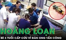 Giữa đêm cả gia đình hoảng loạn vì đàn ong tấn công, bé 3 tuổi phải cấp cứu khẩn