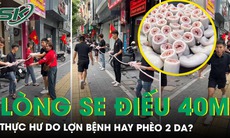 Thực hư món lòng se điếu siêu đắt đỏ dài 40 m: Do lợn bệnh hay phèo 2 da?