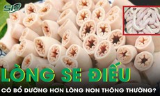 Lòng se điếu có thực sự nhiều dưỡng chất hơn lòng non thông thường?
