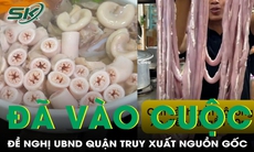 Vào cuộc truy xuất nguồn gốc thực phẩm tại cơ sở có lòng se điếu dài 40 m