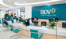 BIDV Bà Chiểu quyết định cho vay, kiểm tra, giám sát chưa đầy đủ, chưa chặt chẽ
