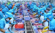 Thủ tướng chỉ đạo loạt biện pháp tăng cường xuất khẩu hàng nông lâm thủy sản