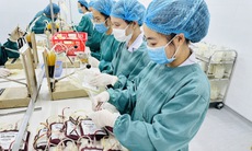 Thiếu máu, chế phẩm máu ngày càng trầm trọng ở Nghệ An