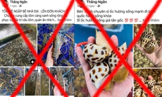 Bắt cặp đôi ngồi trên võng chốt đơn hải sản, lừa đảo hơn 300 triệu đồng