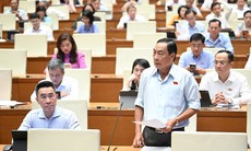 ĐBQH đề xuất một số chính sách khi sắp xếp đơn vị hành chính cấp tỉnh