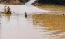 Đi bắt ếch, hai chị em ruột bị nước lũ cuốn trôi