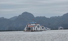 Hải Phòng ứng phó bão số 1: Tạm dừng cấp phép các hoạt động, lưu trú trên biển, cứu hộ kịp thời tàu cá gặp nạn