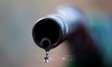 Căng thẳng Israel - Iran: Giá dầu thế giới tăng khoảng 13% trong tuần qua