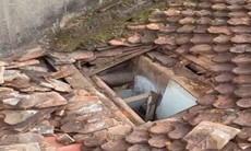 Thanh niên 'mới lớn' dỡ ngói để đột nhập cửa hàng bán điện thoại