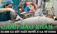 23.000 ca sốt xuất huyết, 5 ca tử vong, Bộ Y tế phát cảnh báo khẩn