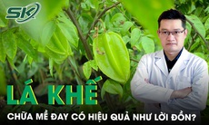 Chữa mề đay bằng lá khế có hiệu quả như lời đồn? 