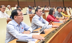 Không đưa chính sách hỗ trợ đối với cán bộ bị ảnh hưởng do sắp xếp vào Luật Việc làm (sửa đổi)