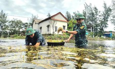 Cấp 130 tấn giống lúa cho người dân Quảng Trị khắc phục hậu quả bão số 1