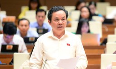 ĐBQH lo ngại nhà đầu tư làm đường sắt nhưng mục tiêu chính là để phát triển dự án TOD