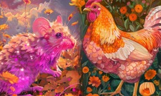 Tử vi 12 con giáp hôm nay 19/6: Sửu hứng khởi, Dần đầy ắp niềm vui
