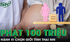 Hành vi chọn giới tính thai nhi có thể bị xử phạt đến 100 triệu đồng theo dự thảo luật mới