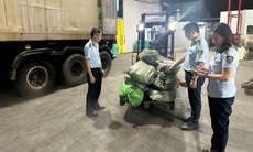 Hơn 12 tấn chân gà 'bốc mùi' không rõ nguồn gốc được phát hiện trong kho lạnh