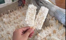 Cẩn trọng: Kem 'trở về tuổi thơ' bán trên mạng xã hội